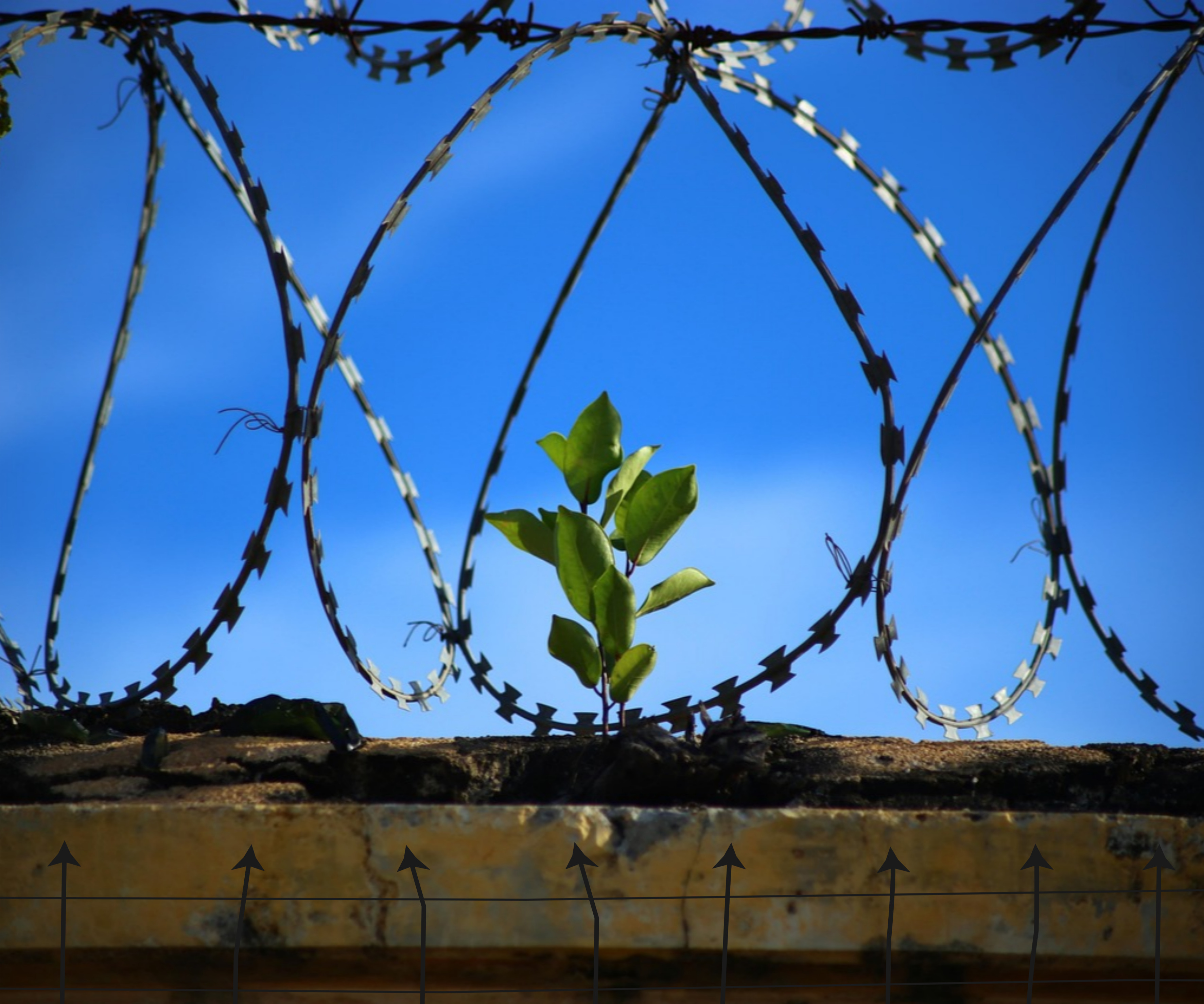 국내 구치소 시설 비교