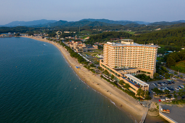 무창포 주변 숙소 숙박 엘리스테이 보령 비체팰리스 무창포카라반파크 리하우스펜션 마스터펜션