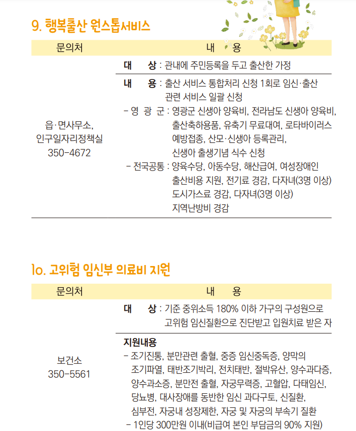 영광 고위험 임신부 의료비