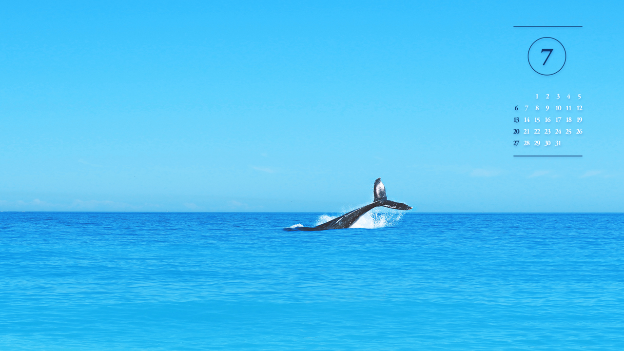 09 고래 A - 2025년7월 노트북배경화면