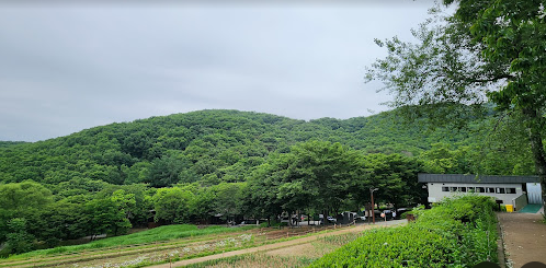  용인-자연휴양림