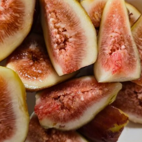 무화과 소화개선 항산화효과