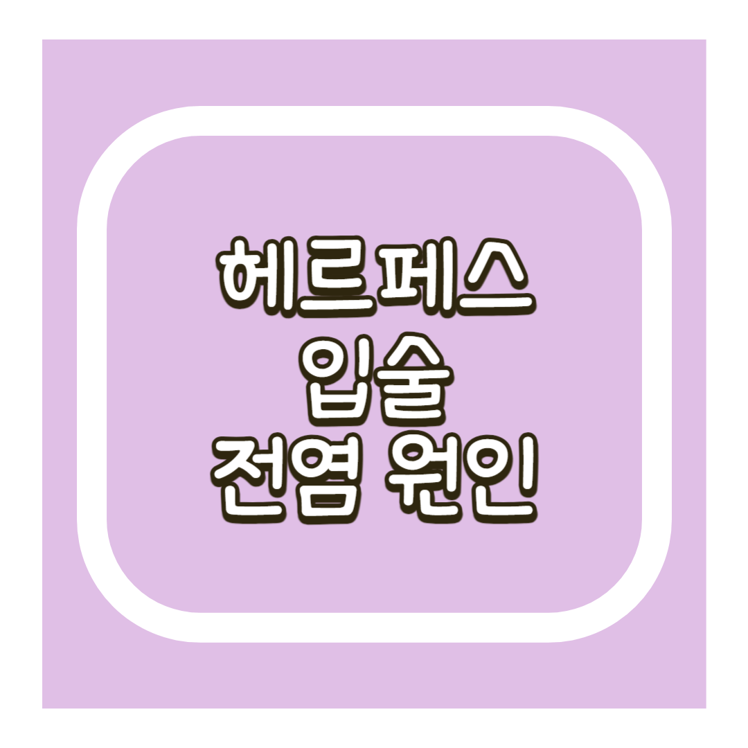 헤르페스 입술전염원인