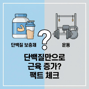 운동 없이 단백질 보충제 섭취만으로 근육이 증가할까?