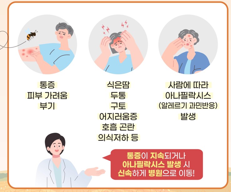 벌 쏘임 예방법과 긴급조치방법