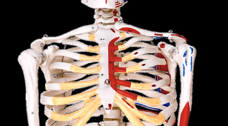 드래그 체인 케이블의 중요성