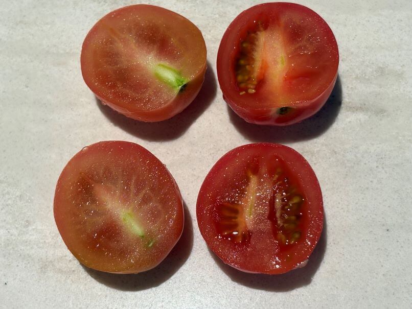 실키 핑크 토마토 맛