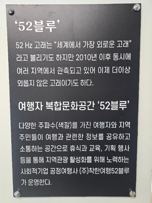 솔티라이엇 운영주체 안내문구