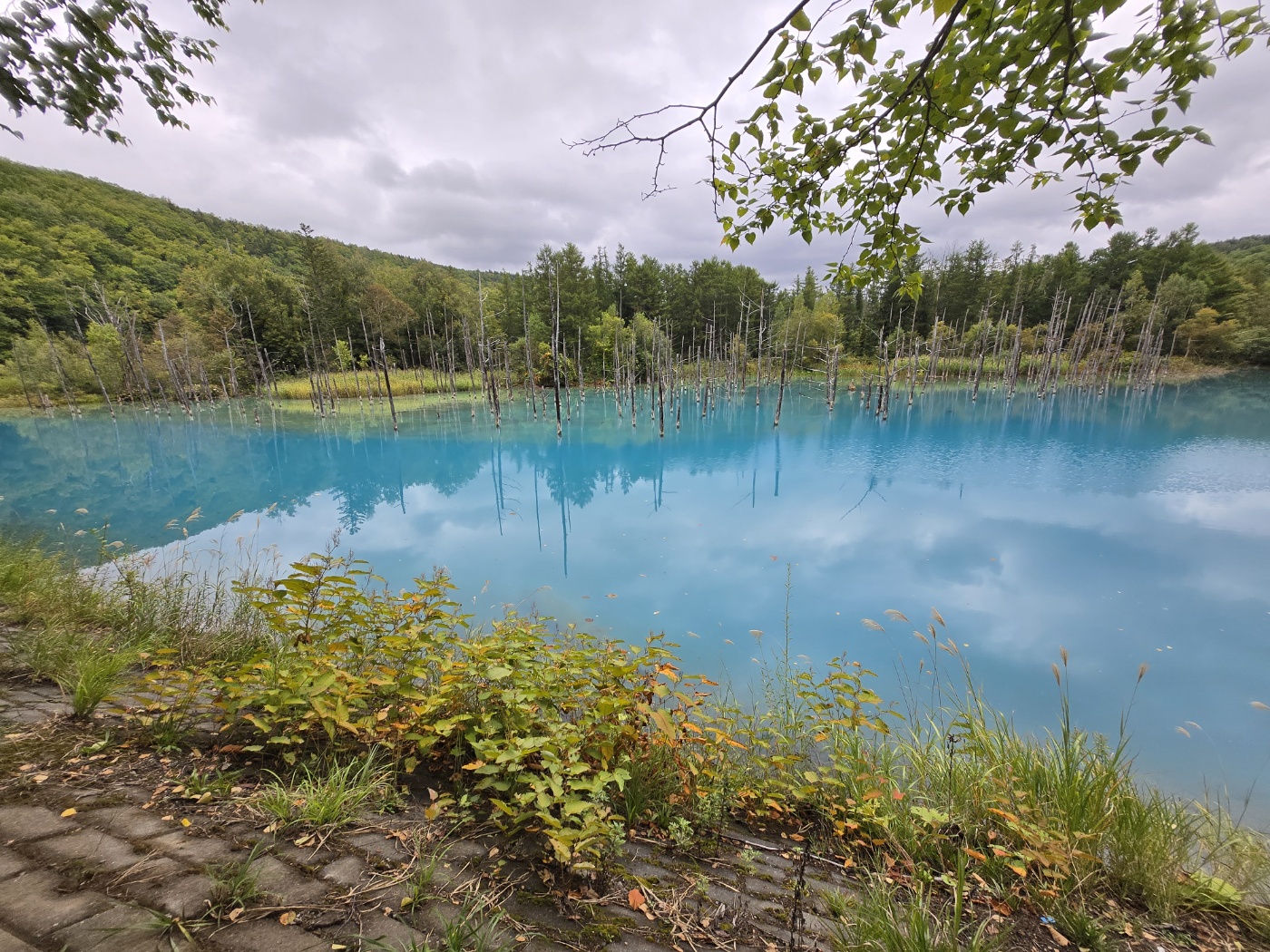 청의호수 전경 사진