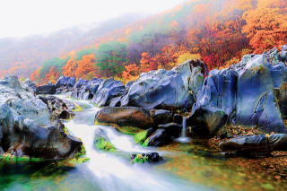 주왕산 단풍 시기 및 추천 코스