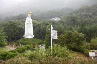 천진암 흰민들레 백양자연관찰로 괭이눈 개화_23