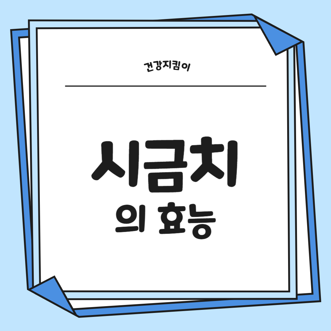 시금치 효능 부작용 고르는법 칼로리