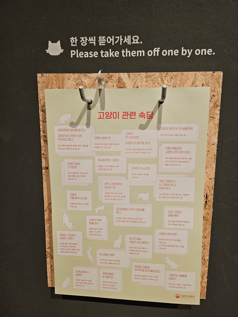 국립민속박물관, 고양이전시, 광화문전시, 종로전시, 추천전시, 어린이전시추천