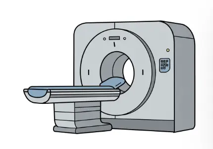 암환자 보호자의 역할