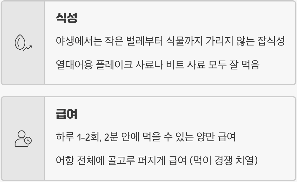 먹이 - 가리지 않는 '튼튼한 식성'