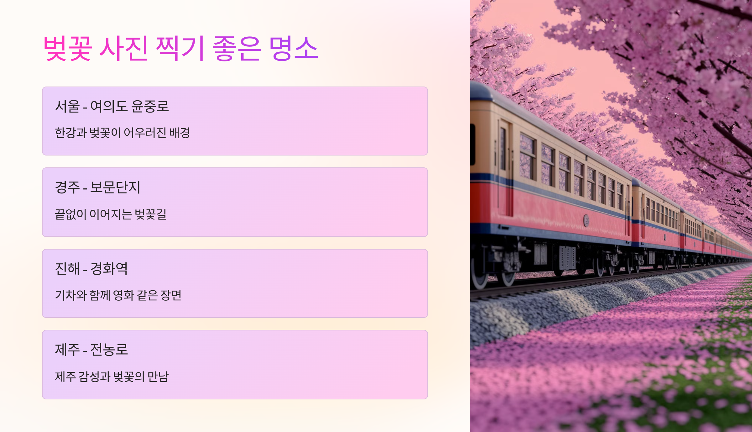 📍 벚꽃 사진 찍기 좋은 명소