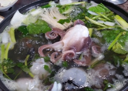 서천 동백꽃 쭈꾸미 축제