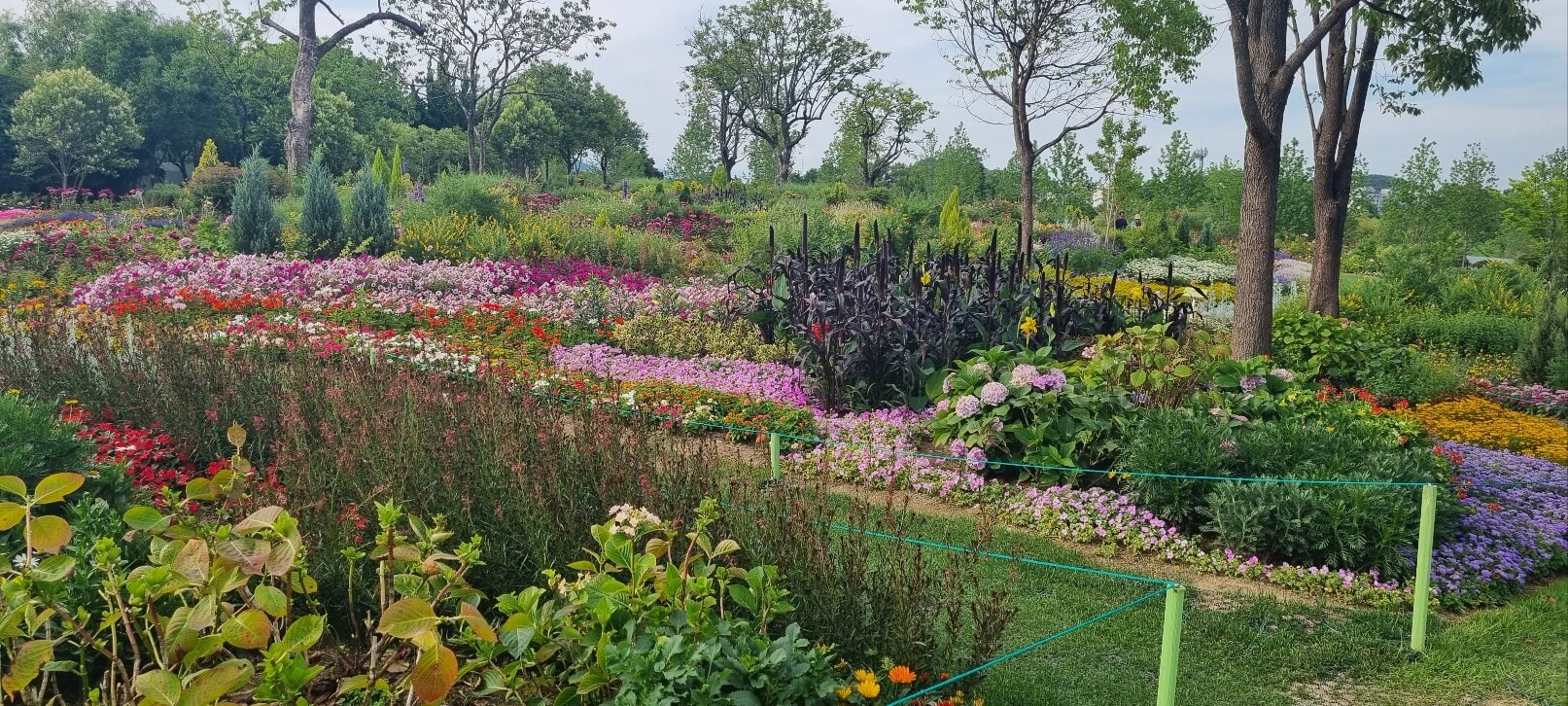 순천만 국가정원 관람 시간 입장료 주차장