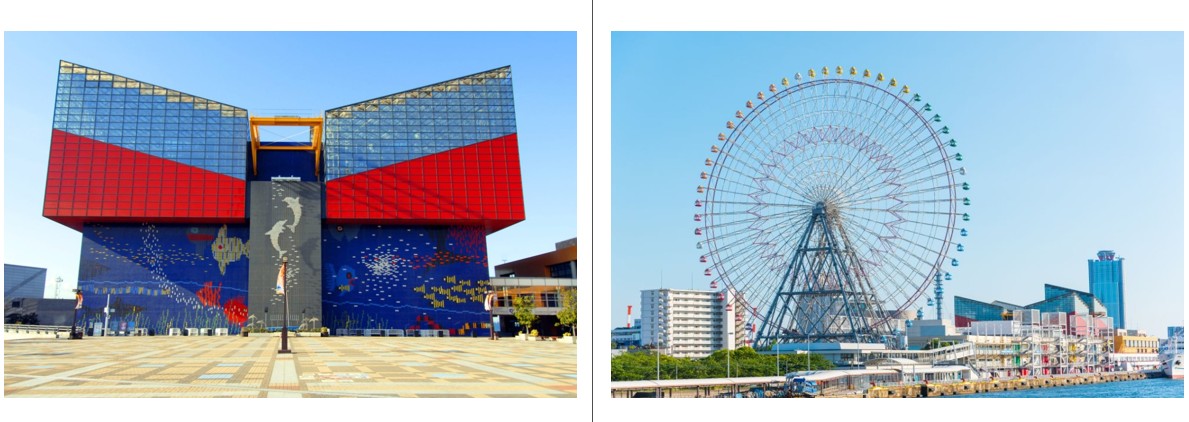 간사이 할인 쿠폰