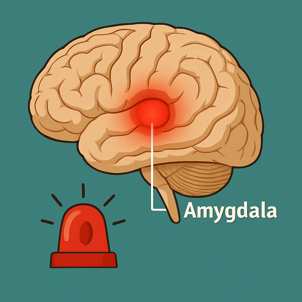 스트레스 뇌 반응의 첫 단계로, 뇌의 편도체 영역이 위험을 감지하고 비상 신호를 보내는 것을 시각화한 이미지.