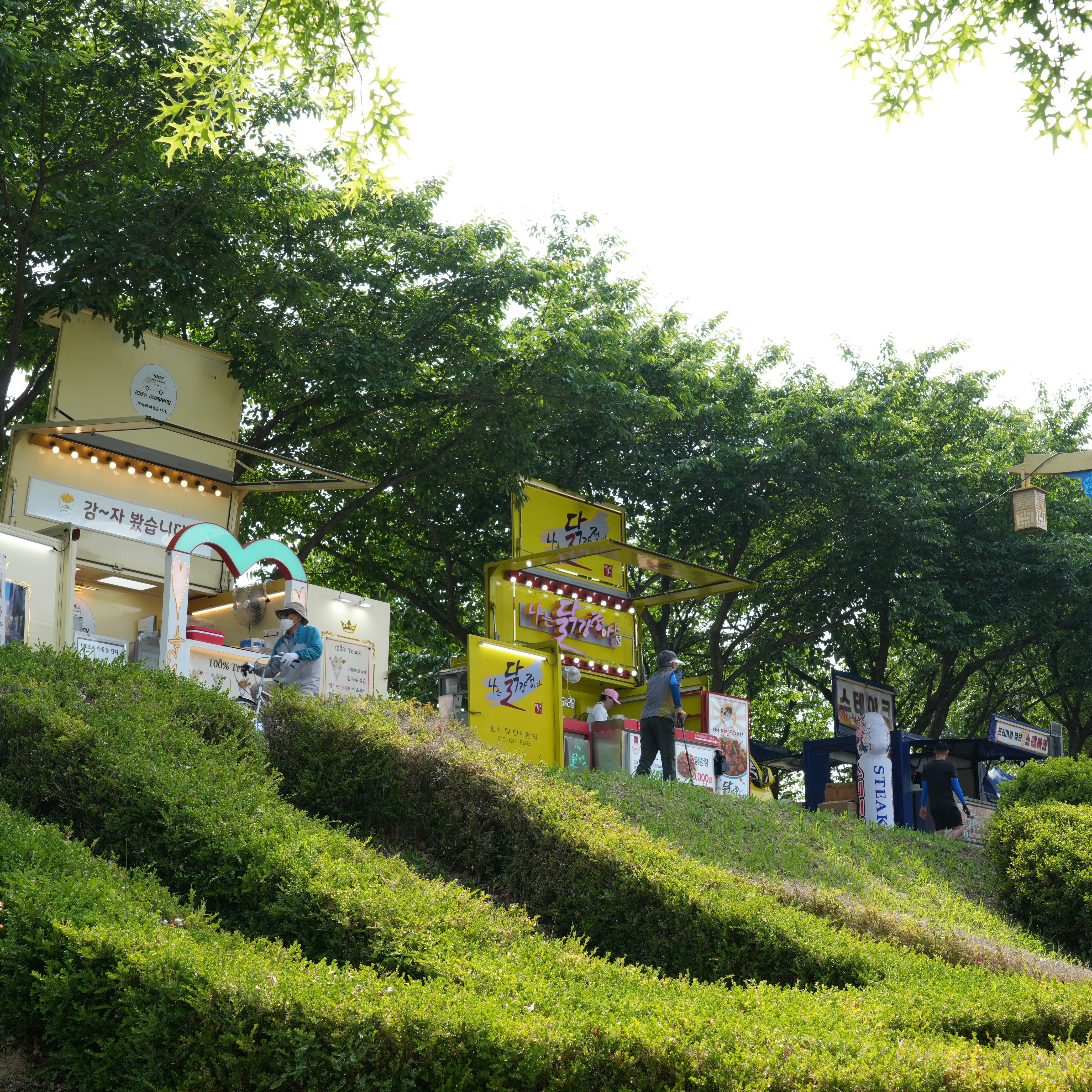 [5월 축제]2025 밀양아리랑대축❘개요, 일정, 셔틀운영, 체험 및 프로그램 정리