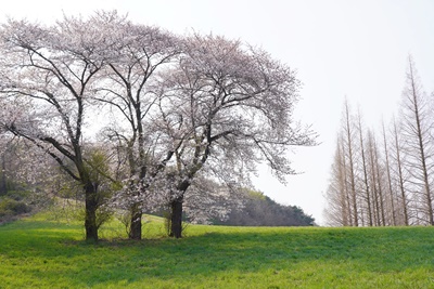 숙박세일페스타 할인쿠폰 사용방법 및 다운로드