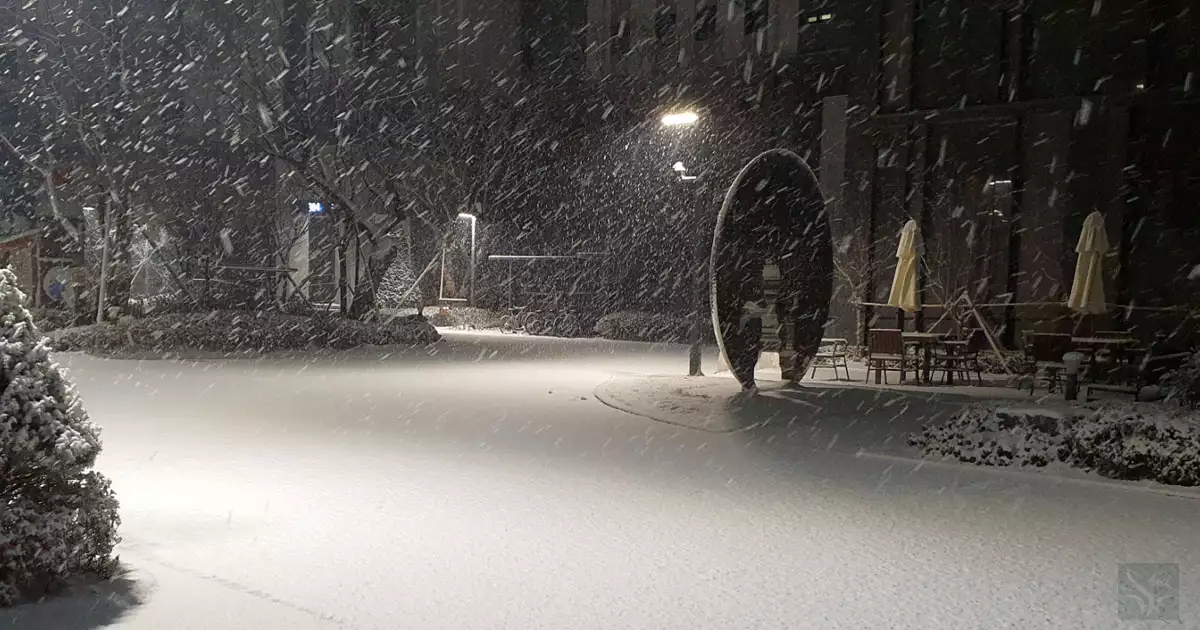 함박눈 내리던 날1