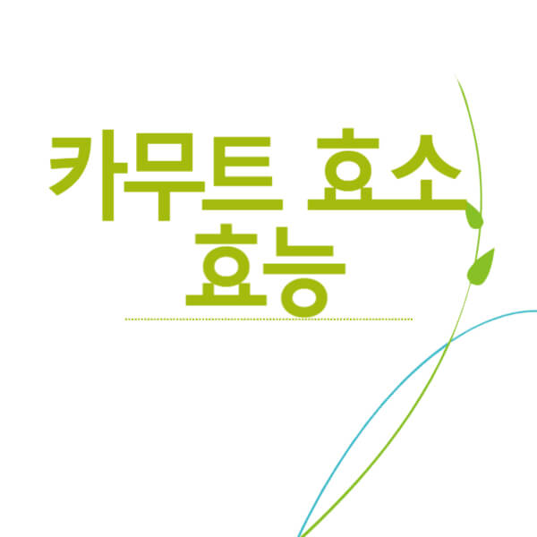 카무트효소