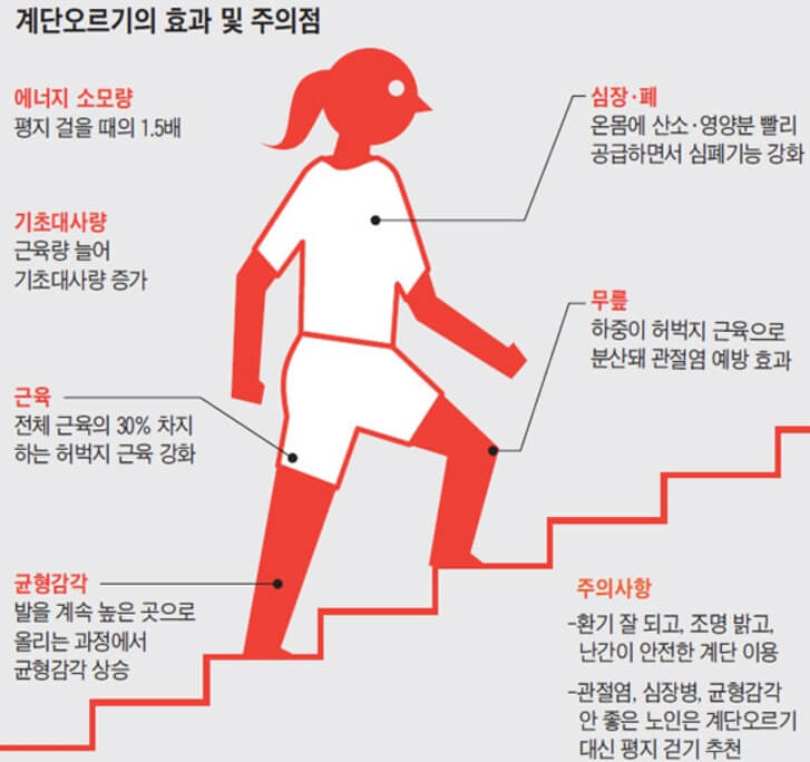 계단오르기