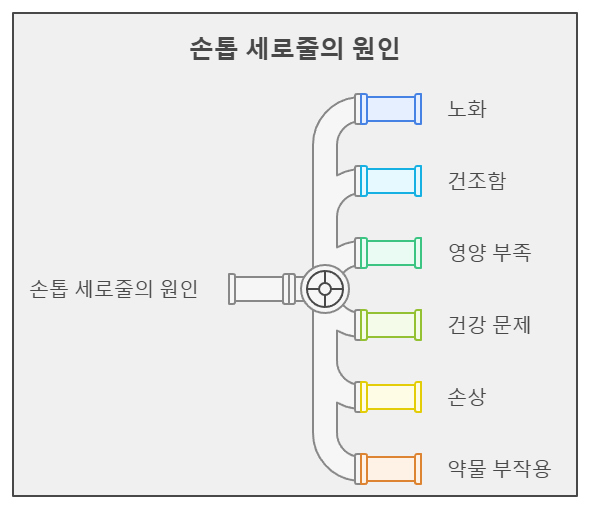 손톱 세로줄의 원인