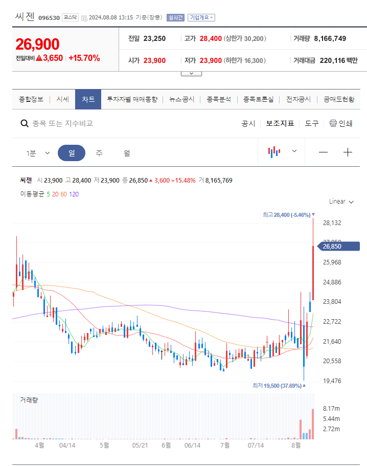 씨젠 주가 분석