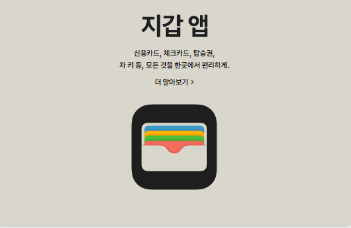 애플페이