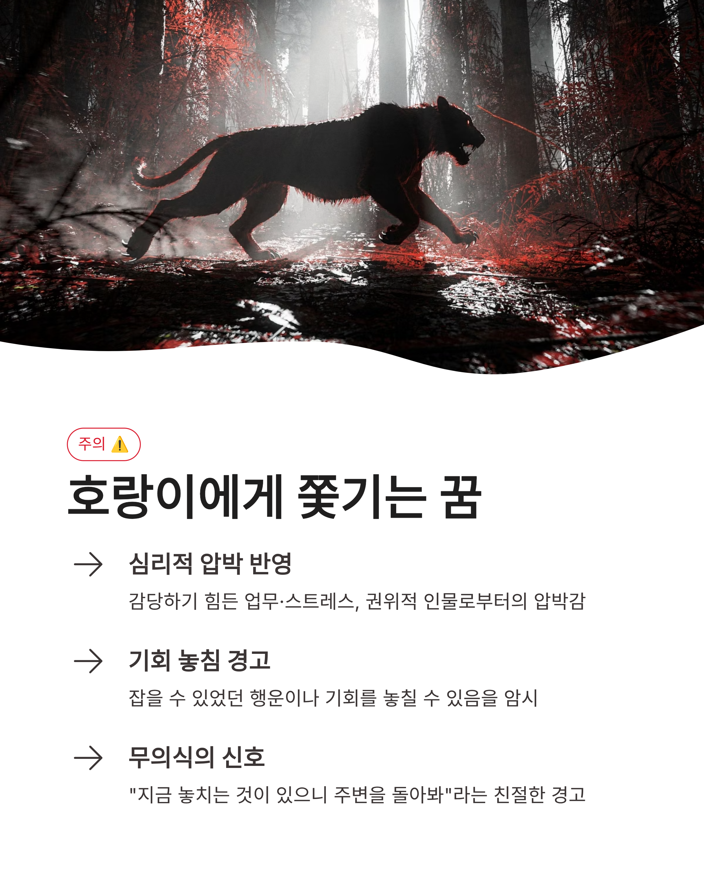 호랑이꿈 해몽 ❘ 집에 들어오는 새끼 호랑이 쫓기는 꿈까지 상황별 완벽 정리!