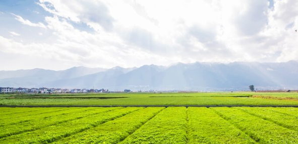 공익직불금 신청