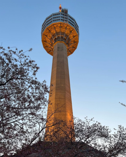 대구 이월드 83타워 전경
