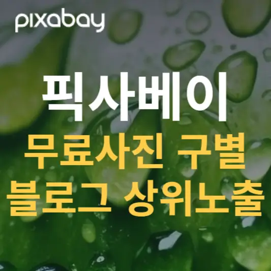 픽사베이 사이트 바로가기 및 무료사진 구별 방법