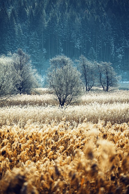 원데이 렌즈 추천