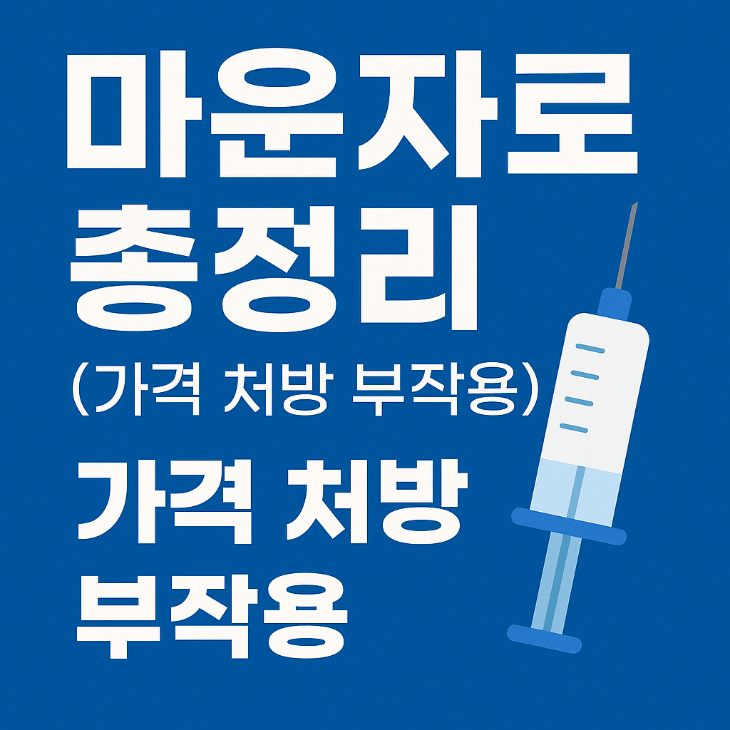 마운자로 총정리