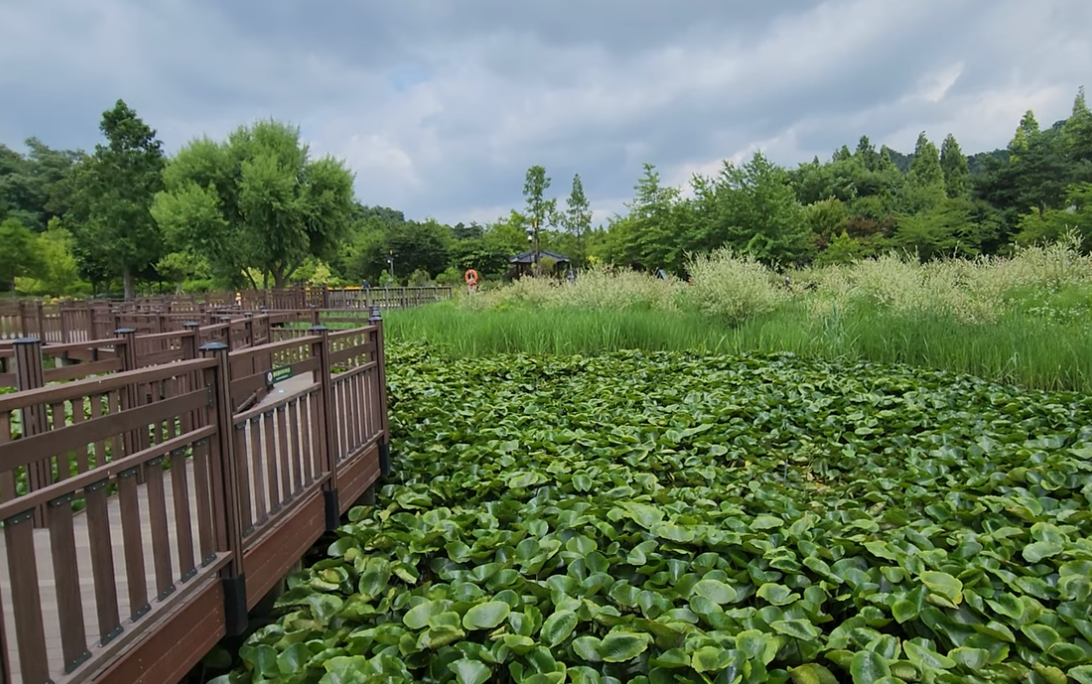 푸른수목원 항동저수지