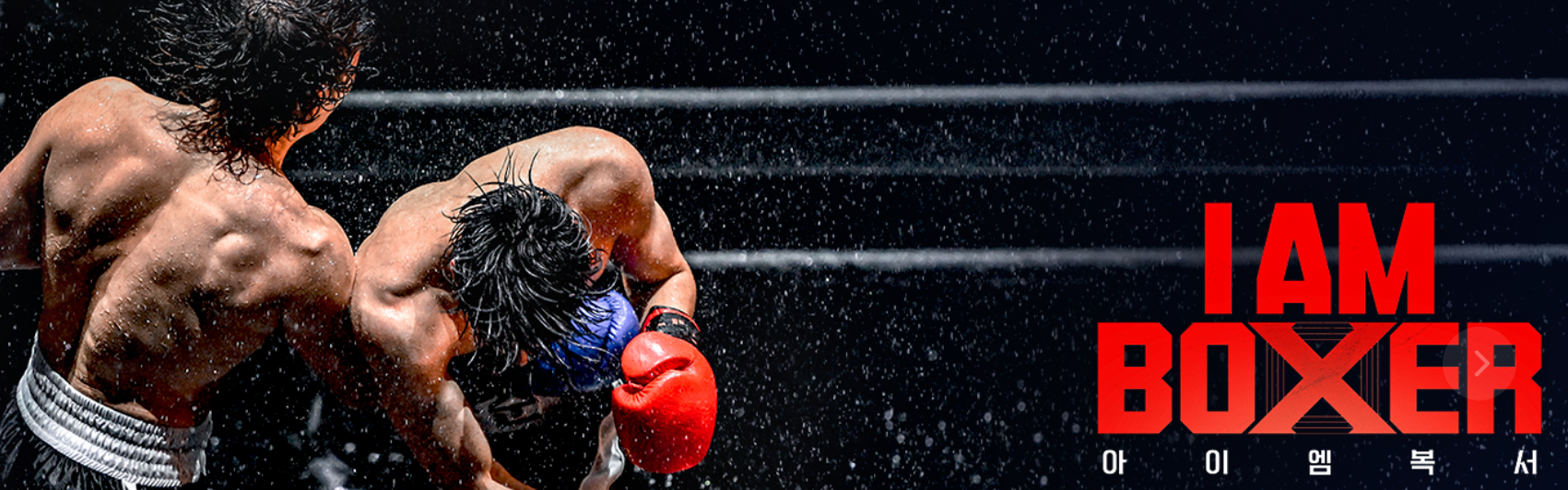 마동석 첫 예능 아이 엠 복서 출연진 참가자 관련 사진