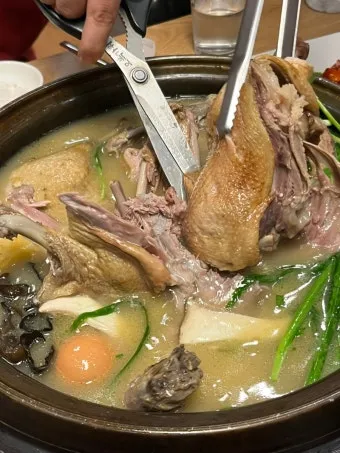 오리백숙 만드는 법 황금레시피 최고 맛집_13