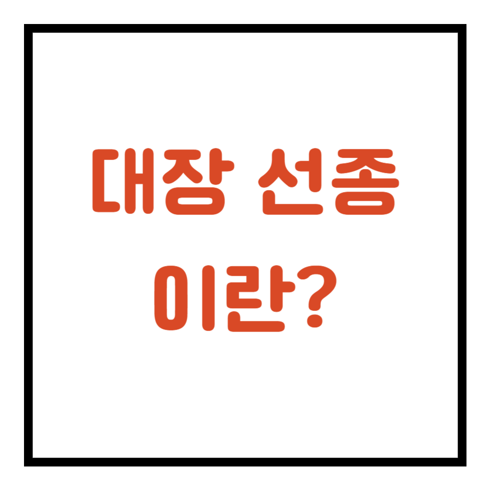 대장 선종이란