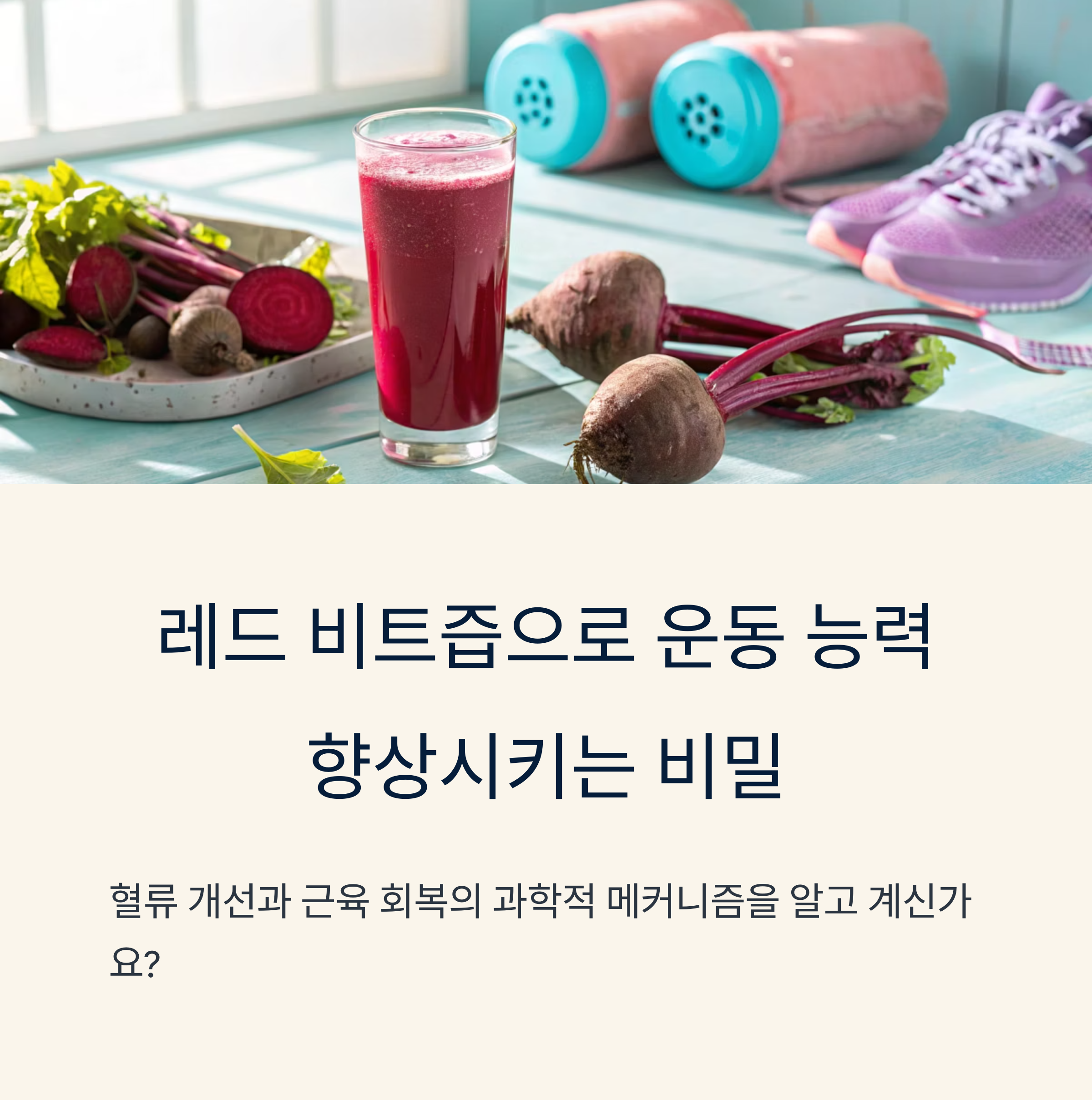 레드 비트즙