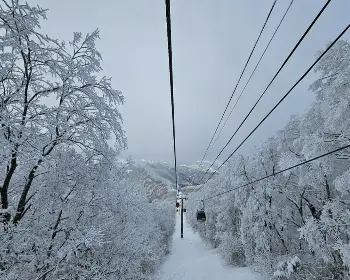 발왕산 케이블카_26