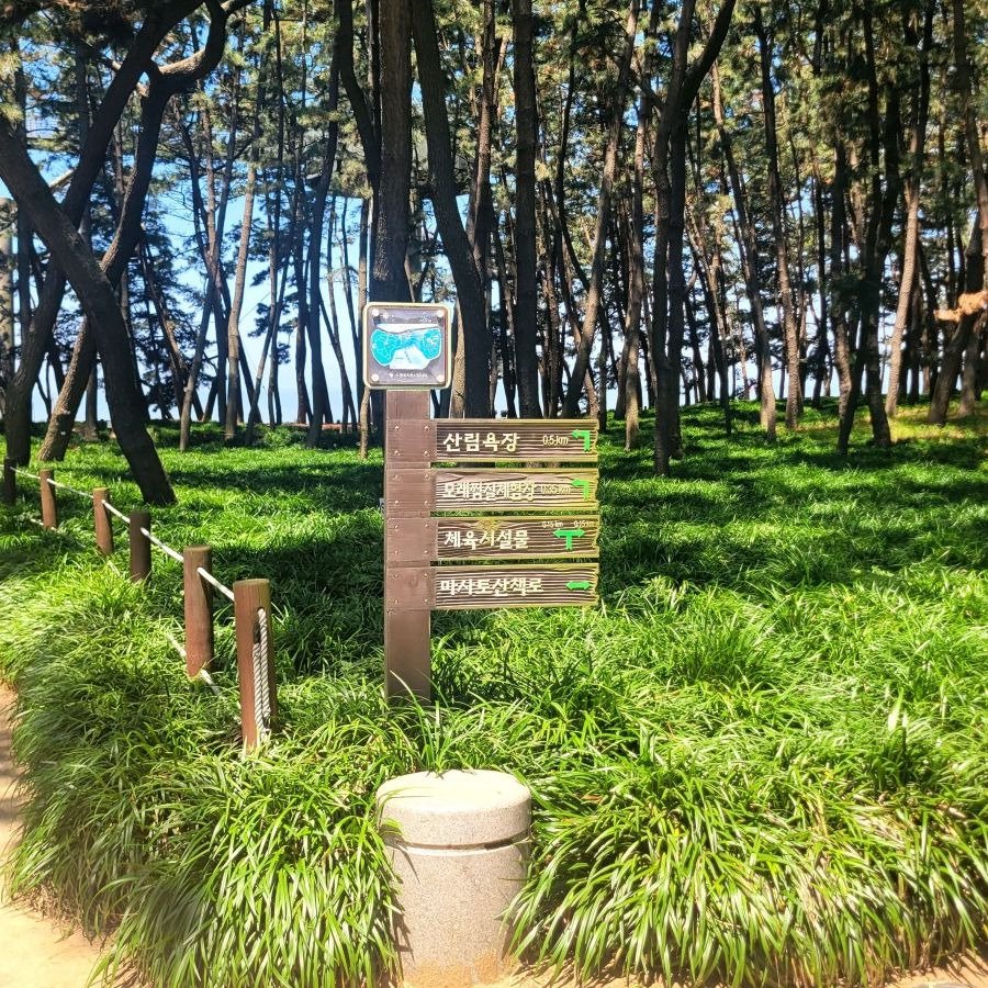 장항스카이워크 전망대