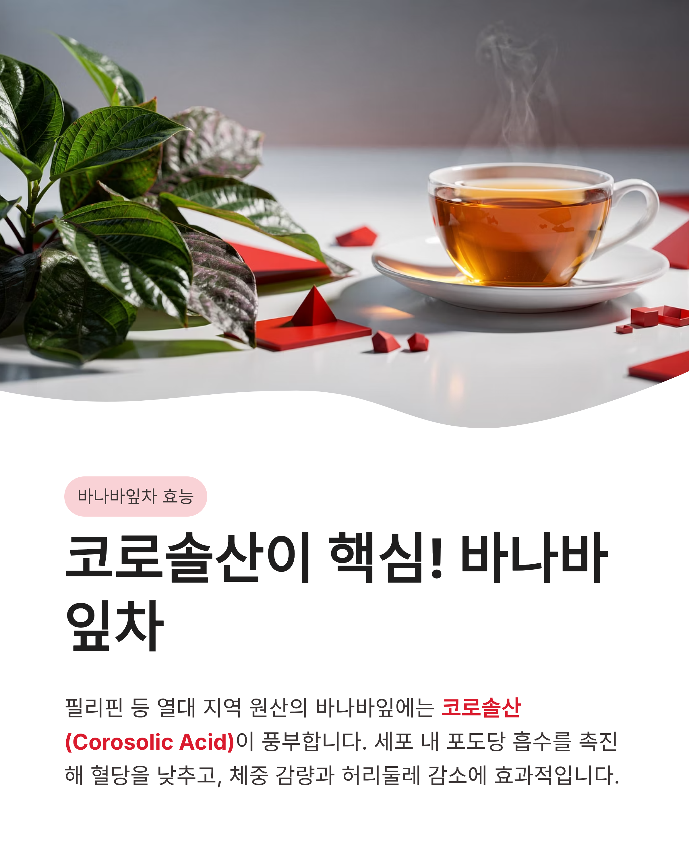 혈당 다이어트 여주와 바나바잎차 효능 ❘ 천연 인슐린으로 식후 혈당 잡고 살 빼는 법!