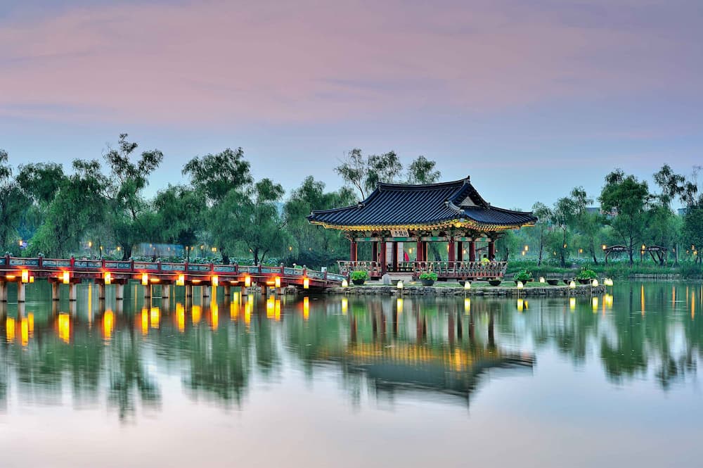 부여 궁남지 연꽃이 만개한 모습