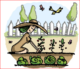 2024 문화누리카드 사용처 및 신청방법 (잔액조회방법)