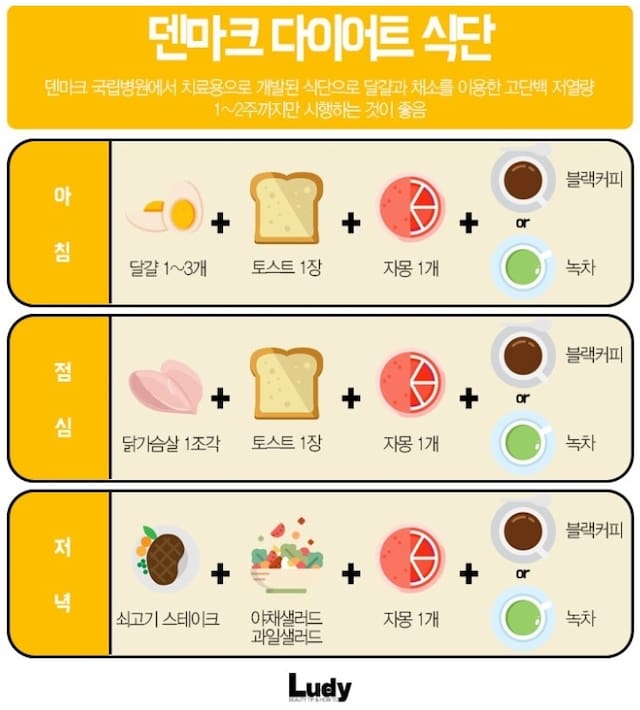 덴마크-다이어트