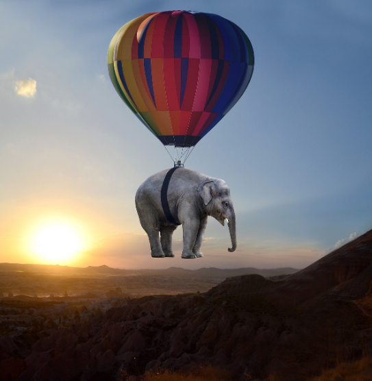 중력을 표현하는 사진